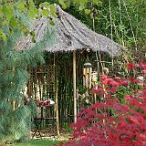 cabane en bambou.JPG